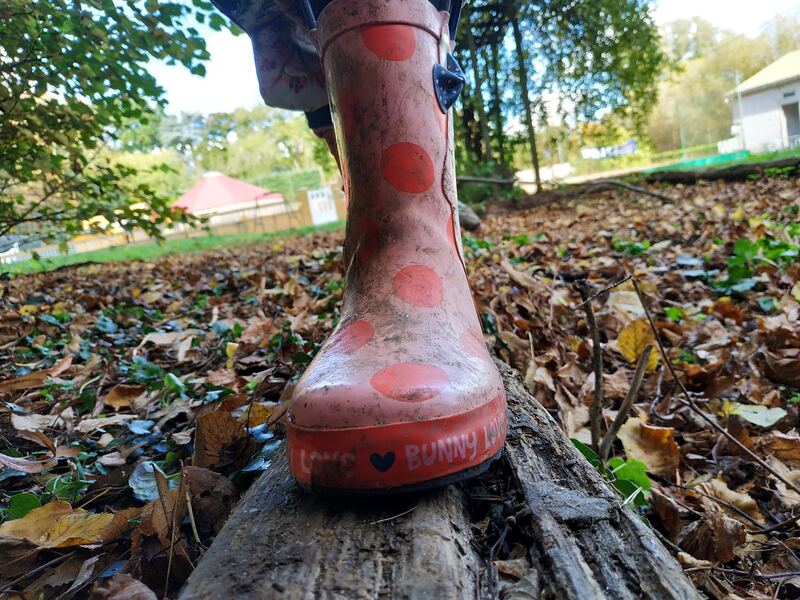 Une botte à pois en équilibre sur un tronc, dans les feuilles d'automne
