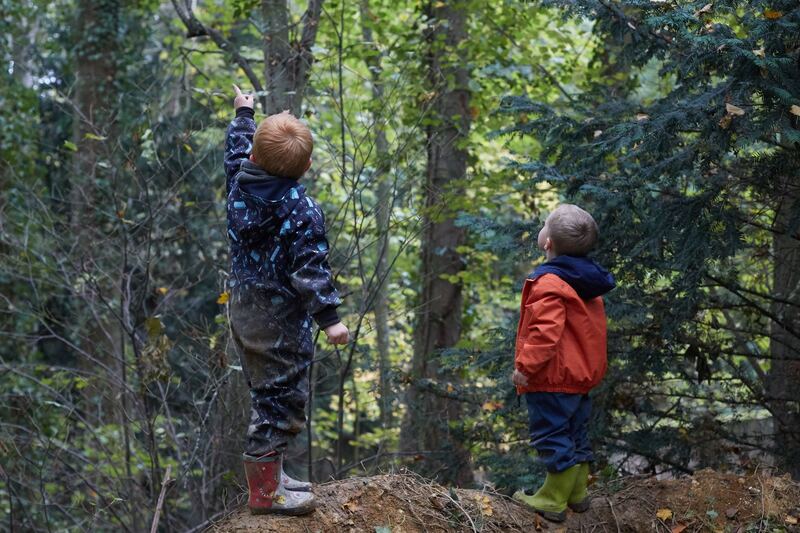Deux enfants observent la cime des arbres dans le bois